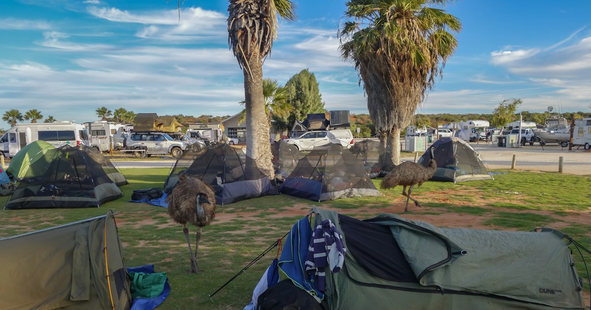 Australia campsite cancellation alerts: official options