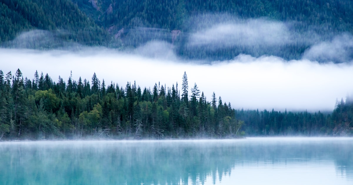 Berg Lake Trail bookings: launch day and cancellations