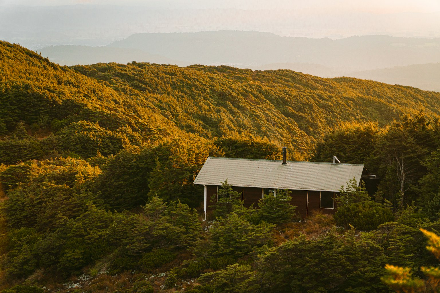 DOC campground booking: Systems, peak times, and how Schnerp helps