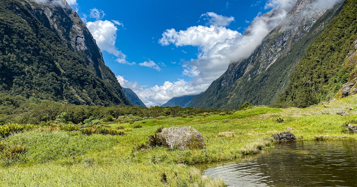 Milford Track 2026: Booking dates and how to get a spot