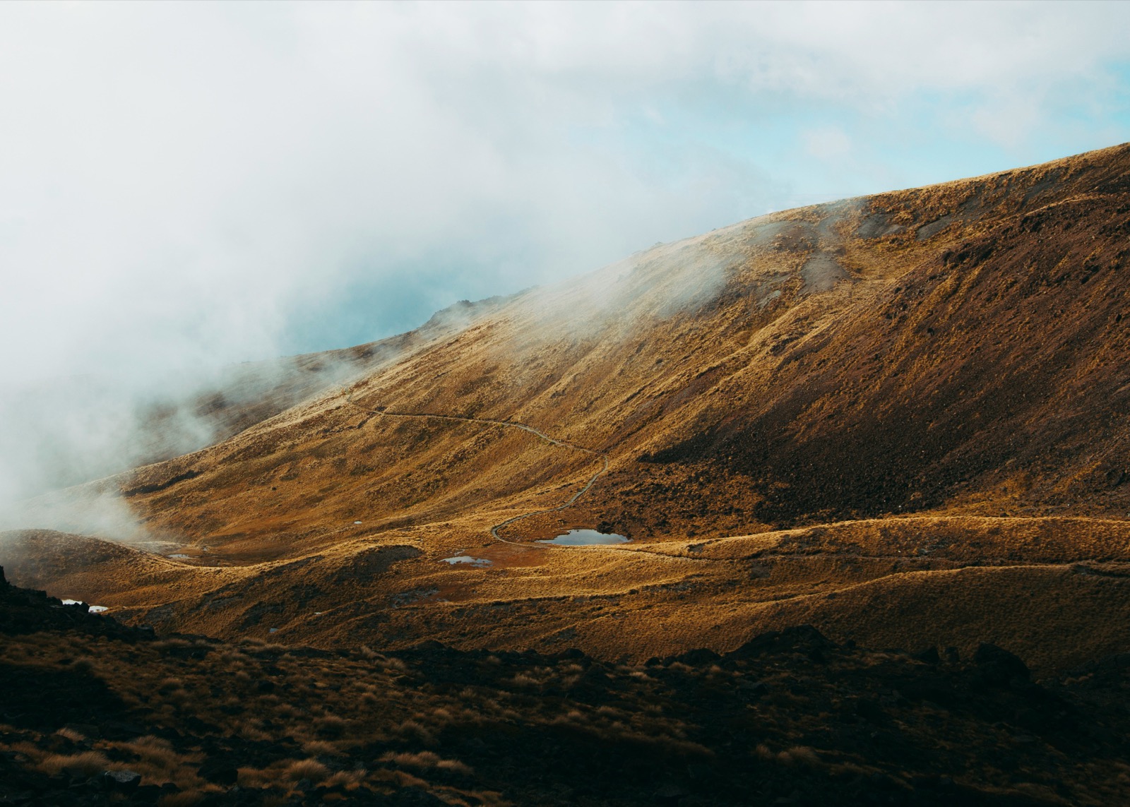 NZ Great Walks 2026-27: Every opening date